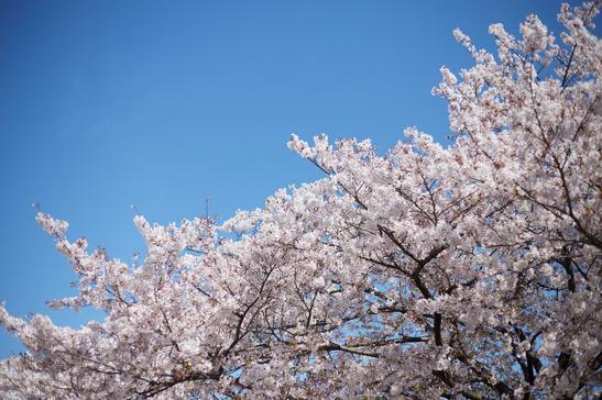 建筑设备工程专业哪些学校最好